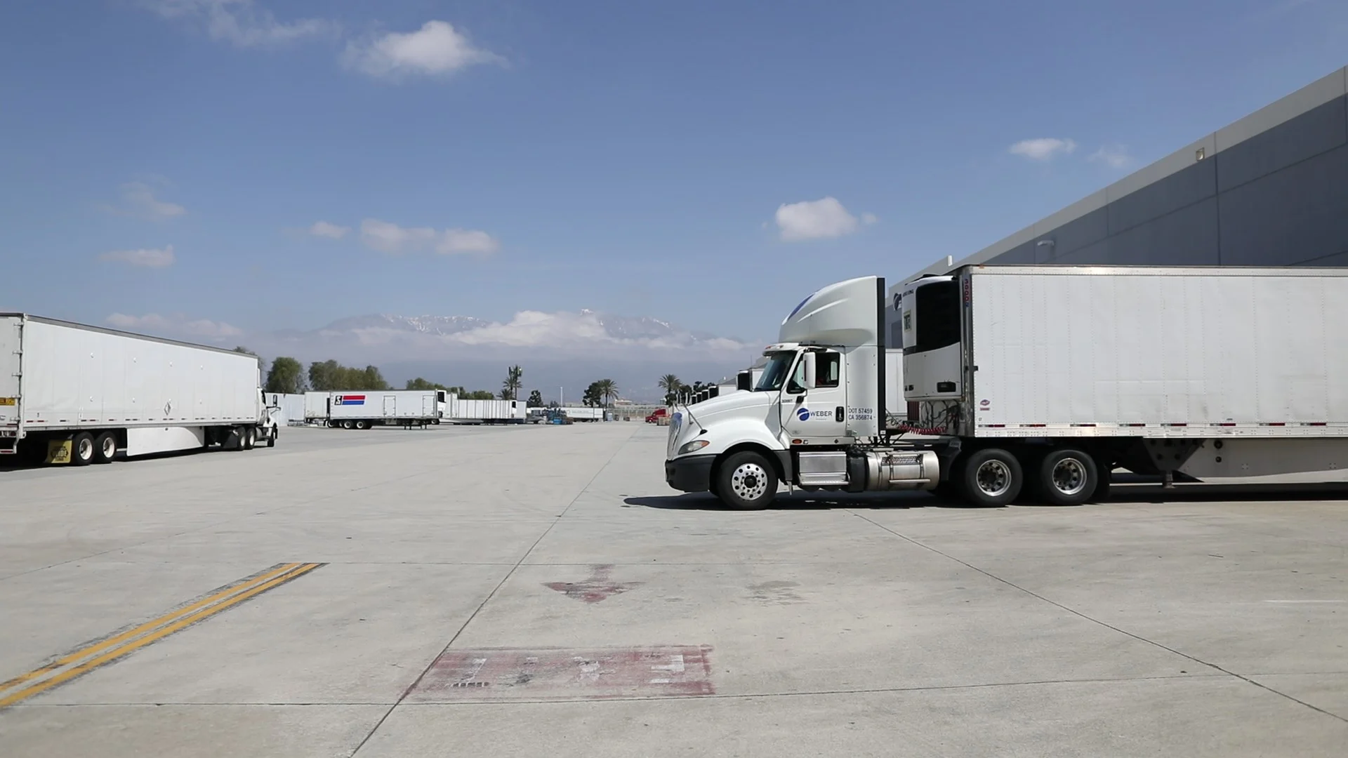 COUGAR PREMIUM LOGISTICS LLC fleet operations